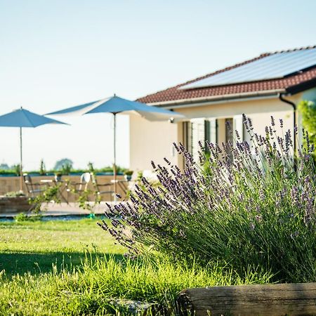 Podere Zampiera Vecchia Imola Esterno foto
