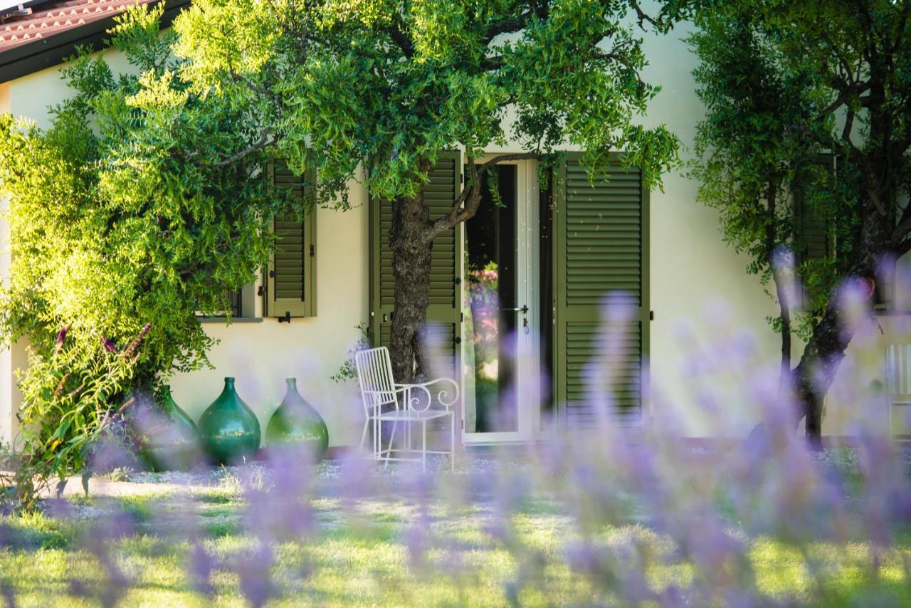Podere Zampiera Vecchia Imola Esterno foto