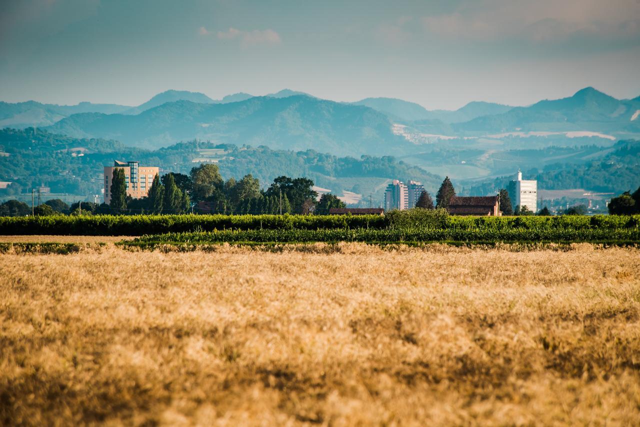 Podere Zampiera Vecchia Imola Esterno foto