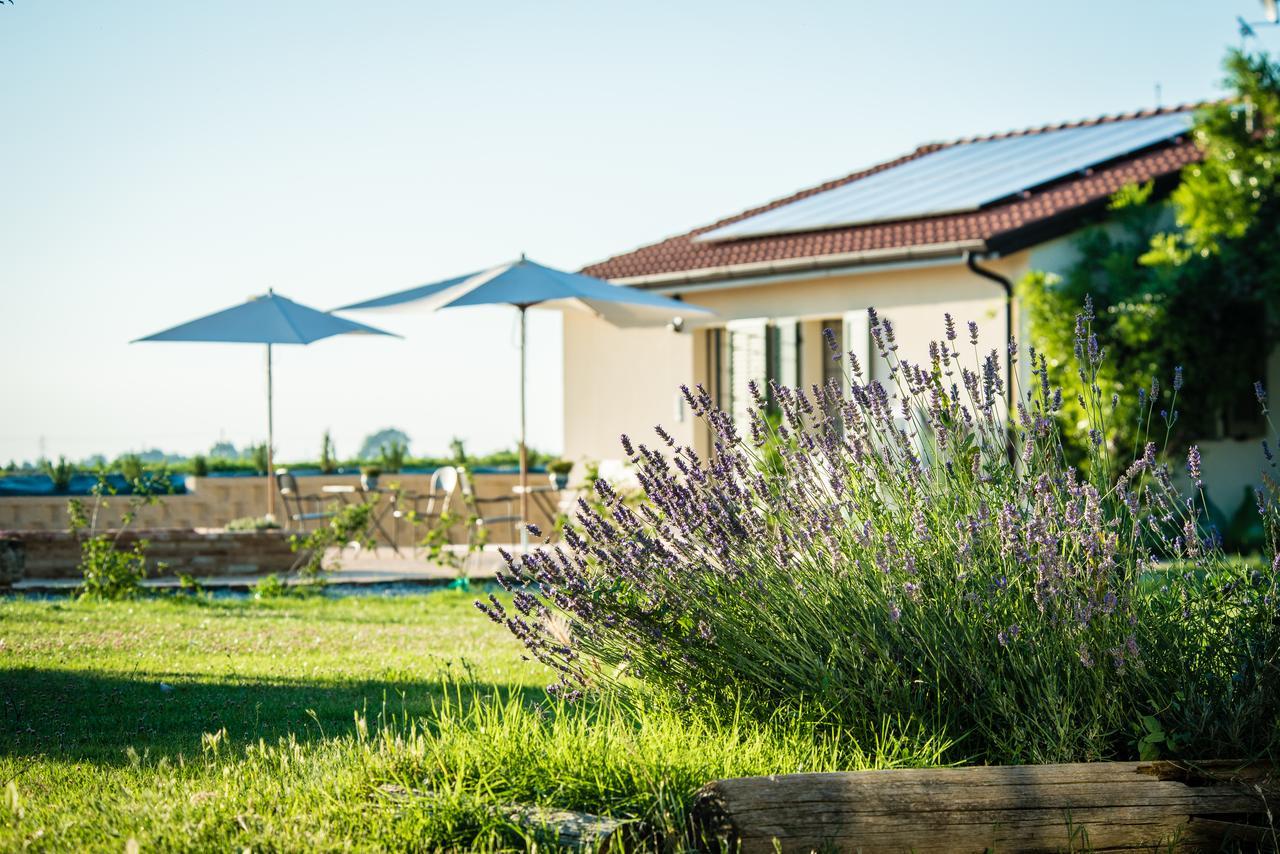 Podere Zampiera Vecchia Imola Esterno foto